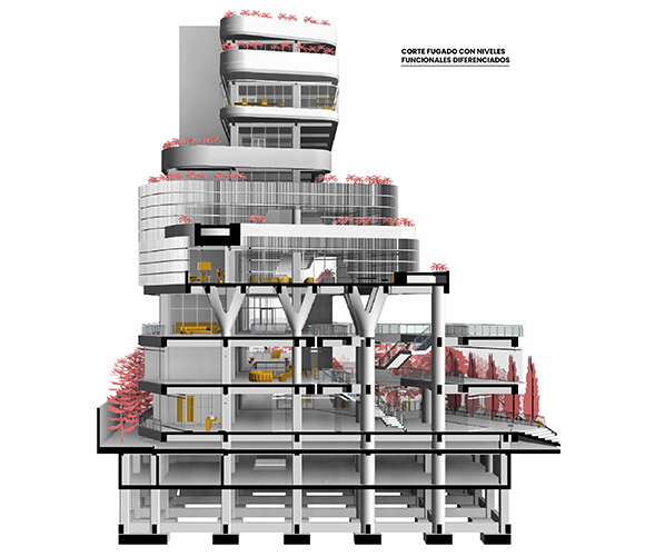 Edificio Terraforma Ejecutiva