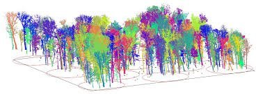 Nube de puntos LiDAR de un bosque con árboles segmentados por color