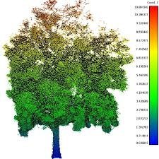 Árbol individual en nube de puntos con altura codificada por color