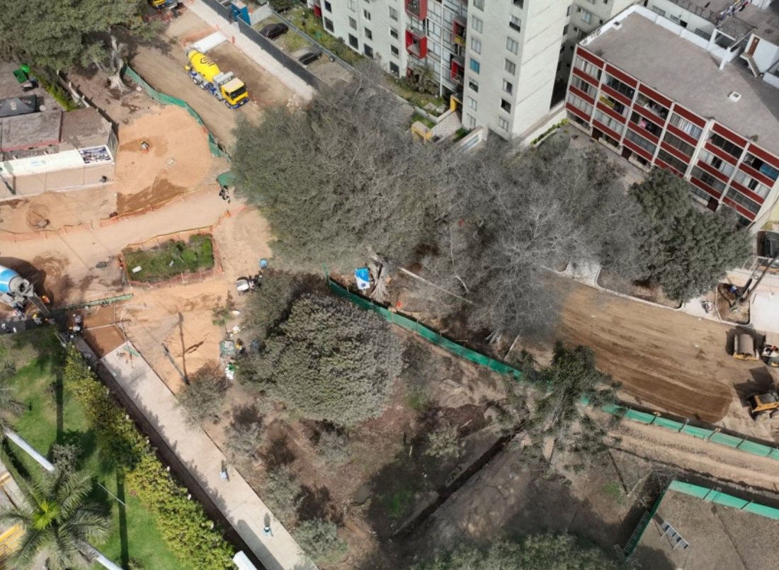 Árboles secándose junto a edificios y zona de obra con camión mezclador