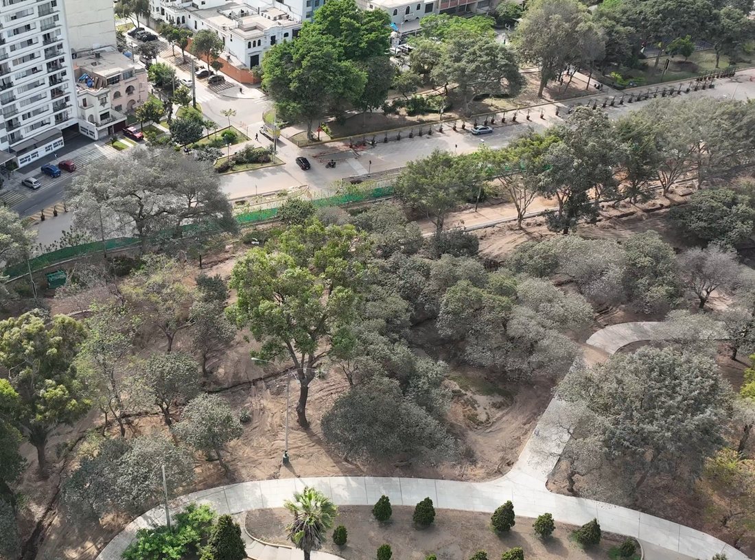 Corredor arbóreo del parque junto a la avenida con vereda nueva y suelo removido