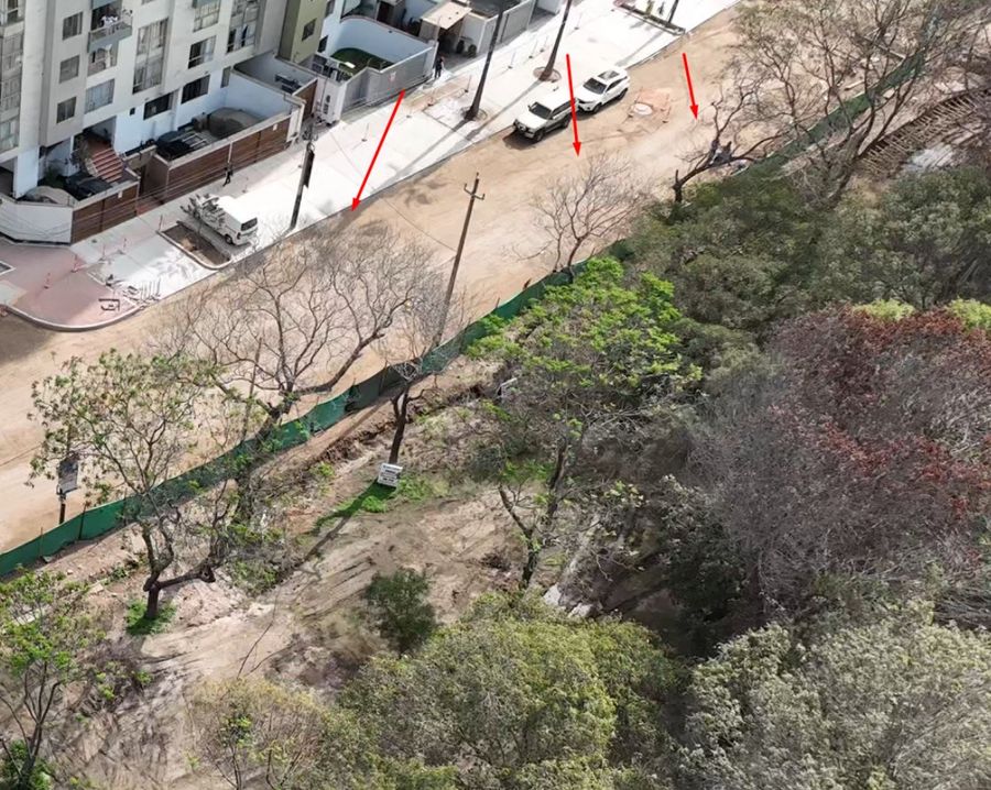 Vista aérea borde del parque con árboles defoliados