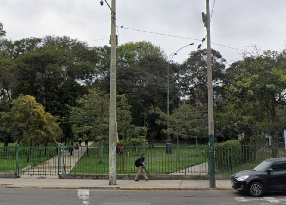 Acceso arbolado al parque