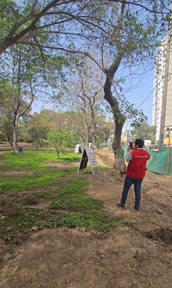 Inspector de Contraloría documenta árbol muerto en pie