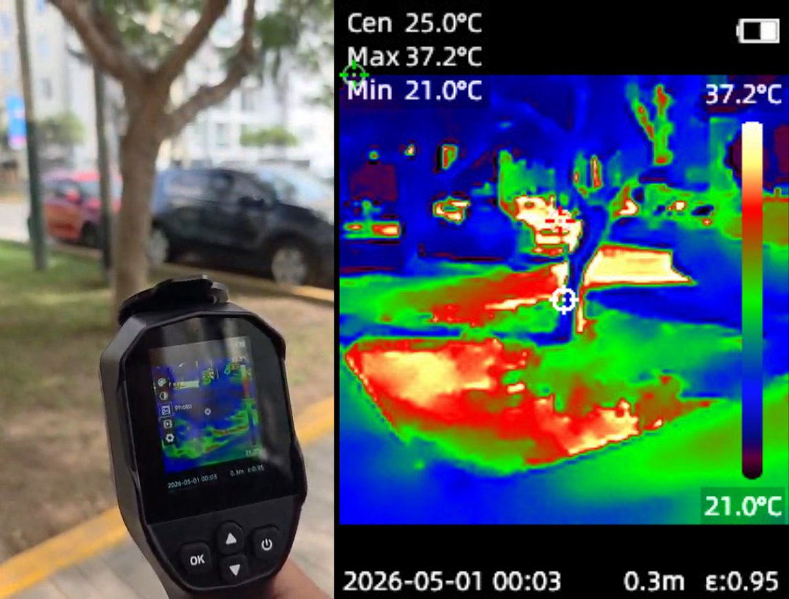 Termografía de vereda junto al parque, contraste pavimento caliente y vegetación fría