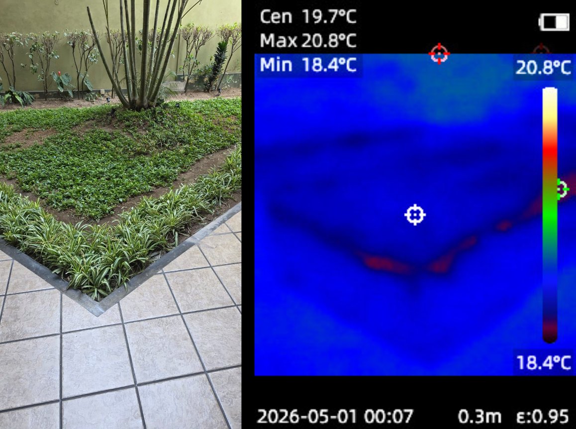 Termografía de jardín interior con árbol saludable, toda la escena entre 18 y 20 grados