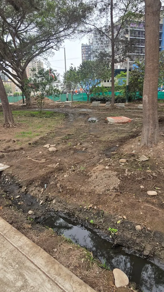 Agua estancada y oscura al pie del arbolado