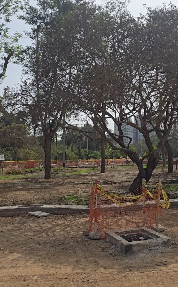 Cámara de inspección abierta al pie del arbolado