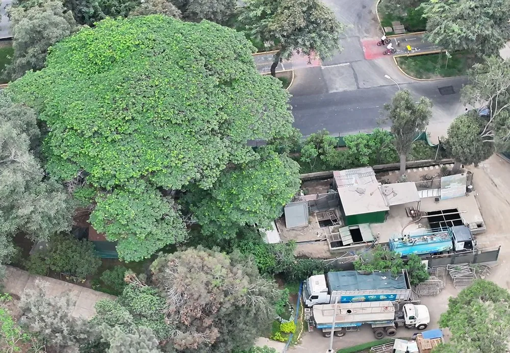 Vista aérea árbol y cisternas de obra