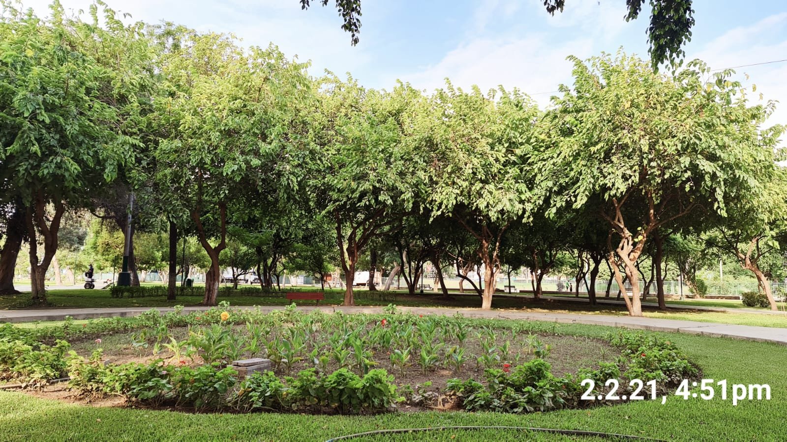 Campo de Marte, Jardín florido frente a la arboleda · 2 feb 2021