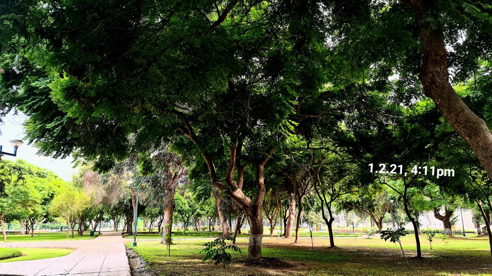 Campo de Marte, Sendero bajo sombra densa y continua · 1 feb 2021