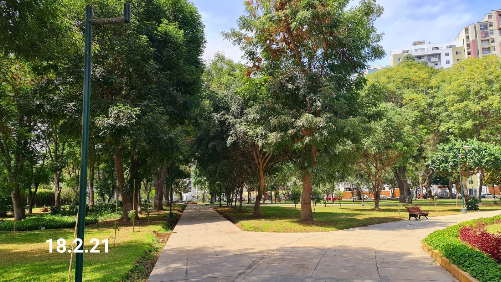 Campo de Marte, Cruce de senderos arbolados, con el distrito al fondo · 18 feb 2021