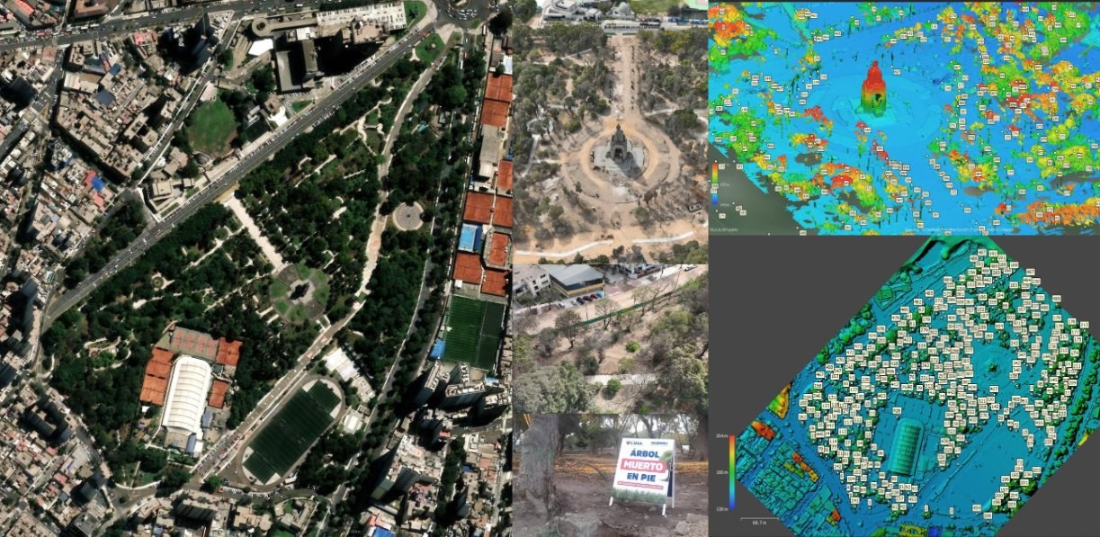 Panel de portada: satelital, dron y nube de puntos del Campo de Marte